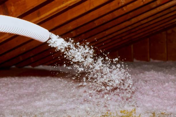 Best Insulation Materials and Products in San Pasqual, CA