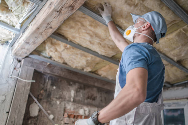 Best Commercial Insulation in San Pasqual, CA