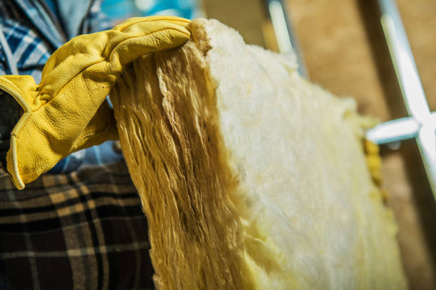 Best Residential Insulation in San Pasqual, CA