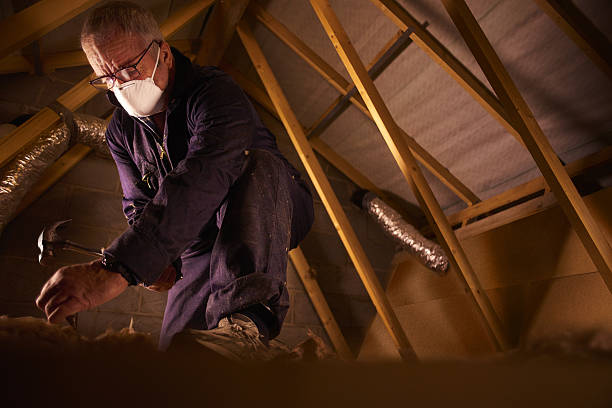 Best Insulation Materials and Products in San Pasqual, CA